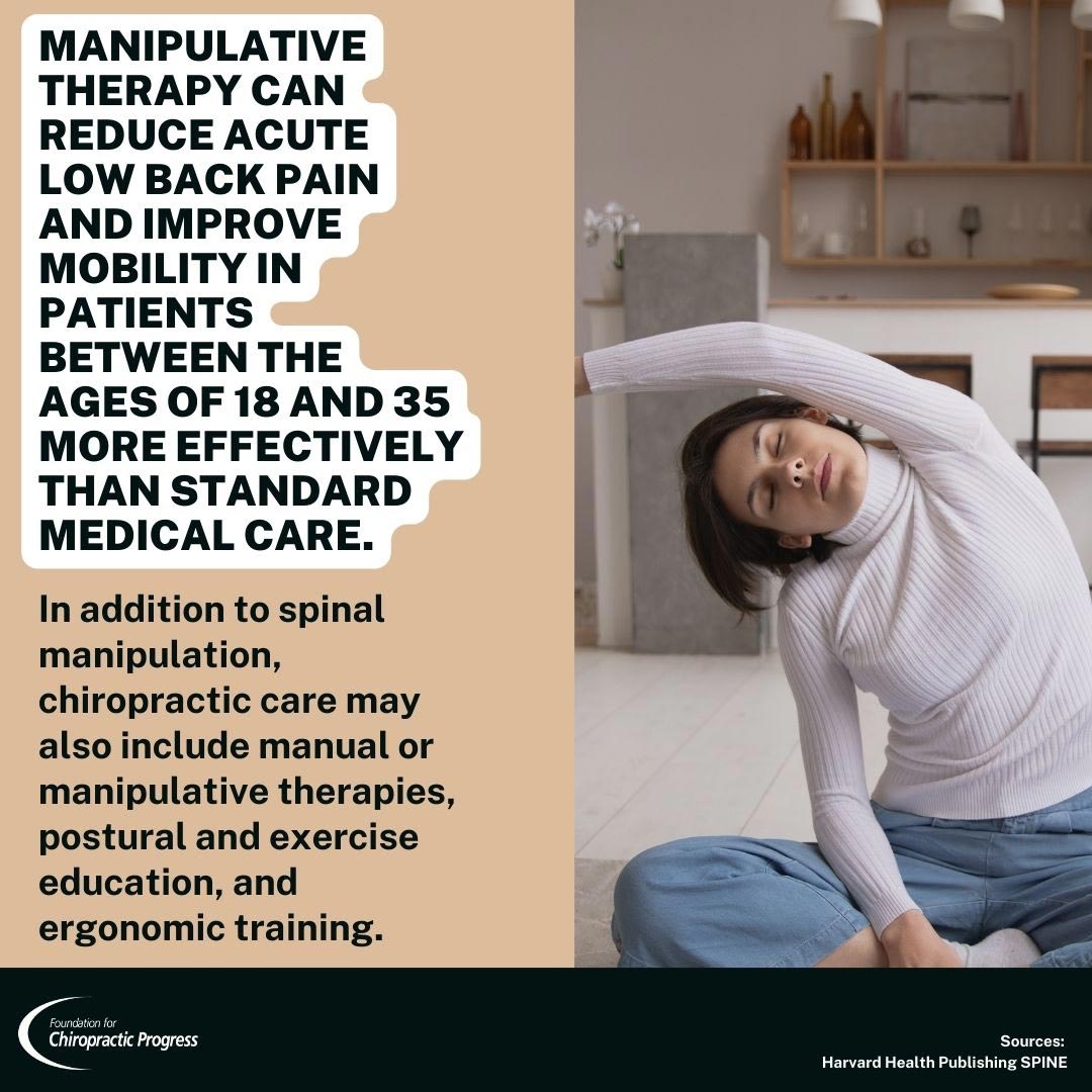 Chiropractic can improve low back pain and mobility in patients