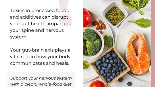 Support Your Nervous System With A Clean Diet And Chiropractic Care