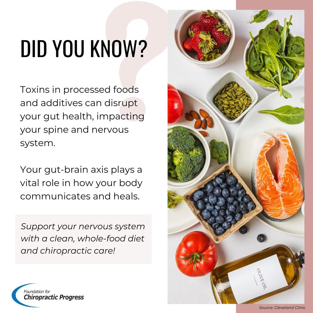 Support Your Nervous System With A Clean Diet And Chiropractic Care