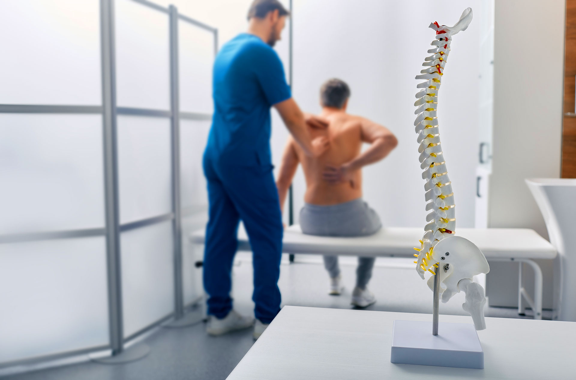Doctor examining patient's back near spine model display